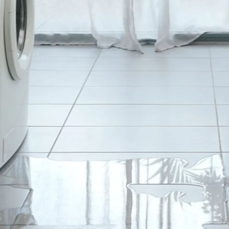 Appliance Leak Cleanup in Iowa Colony, TX