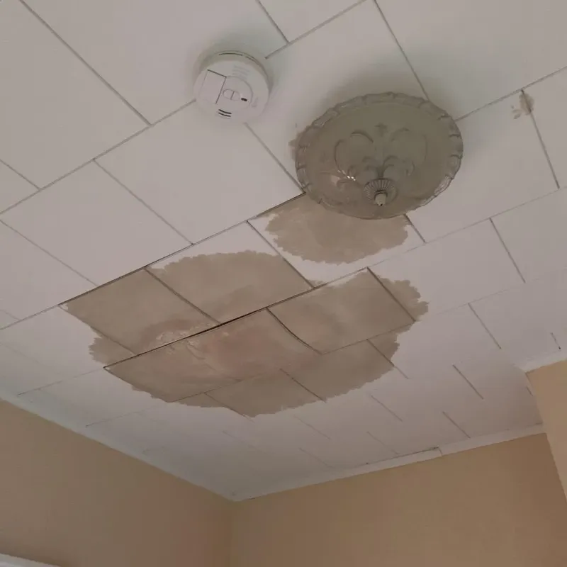 Ceiling Water Damage Repair in Iowa Colony, TX