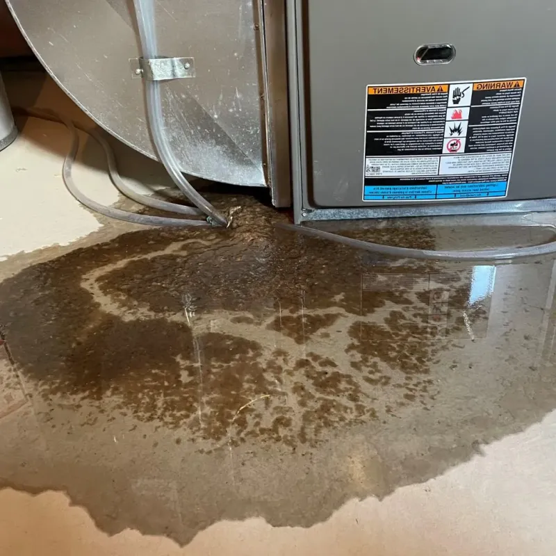 Pipe Burst and Leak Restoration in Iowa Colony, TX